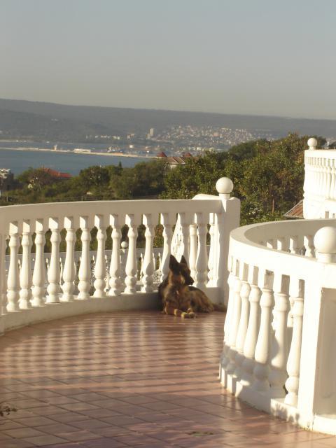 Family Hotel Casablanca Green Varna Exterior foto